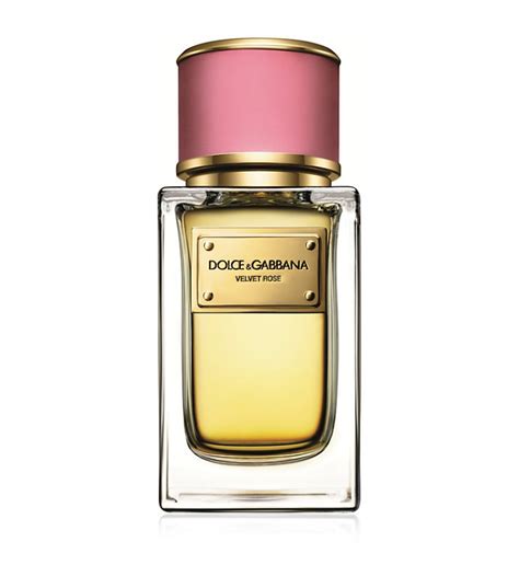 dolce gabbana arabic parfum|velvet rose dolce and gabbana.